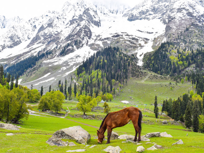 Pahalgam